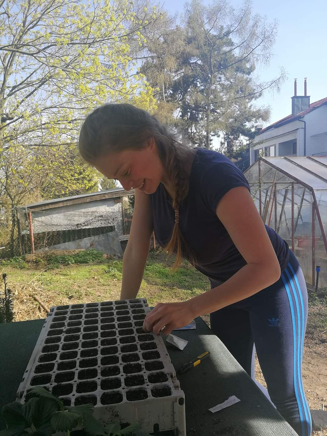 Sadenie papriky do priesad Lenka Krčmáriková